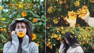 Trong sắc xanh của rừng