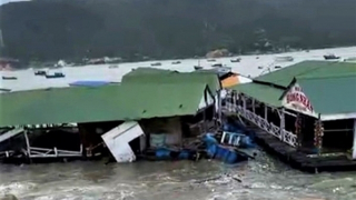 Sóng biển xô đập dữ dội gây hư hỏng 90 bè tôm hùm ở đảo Bình Hưng