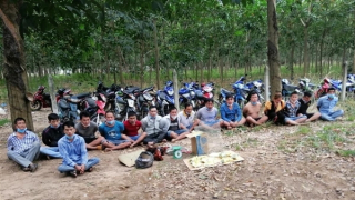 Xóa sổ trường gà trong rừng cao su