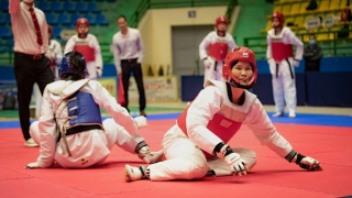 Dấu ấn của những bà mẹ