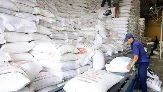 Đưa lượng gạo dự trữ lớn nhất đến tay người dân trong năm 2021