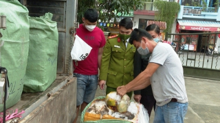 Xe ôtô vận chuyển hơn 1 tấn nội tạng không rõ nguồn gốc