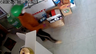 Nữ quái “dọn đồ” quán trà sữa không người trông coi