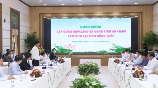 NovaGroup báo cáo ý tưởng phát triển thành phố thông minh kiểu mẫu ở Đồng Tháp