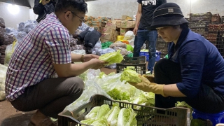 Đà Lạt cung cấp 850.000 tấn nông sản thị trường Tết Nguyên đán