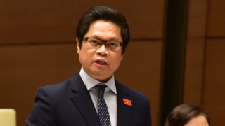 Nỗ lực vượt khó, đón vận hội mới