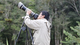 “Săn” chim trên đỉnh Langbiang