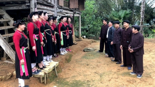 Phải lòng Shấng Cọ