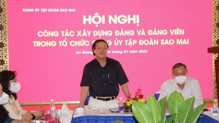 Đảng bộ Sao Mai tiếp tục kiện toàn, vững mạnh