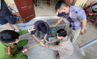 Bị bắt khi đang vận chuyển trái phép 4 cá thể tê tê