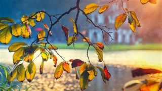 Miền Bắc nắng ấm, miền Nam chiều tối có mưa rào