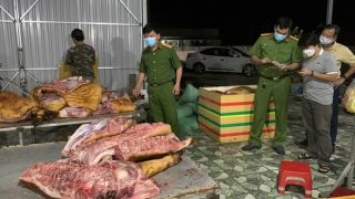 Hơn 1 tấn thịt heo không nguồn gốc trong cơ sở dịch vụ tiệc cưới