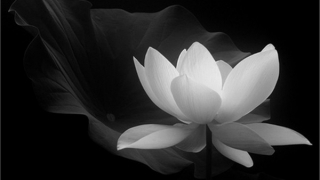 Nguyên Phó Thủ tướng Nguyễn Côn từ trần