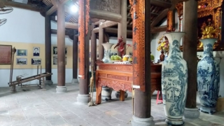 Tri ân người con gái họ Hoàng