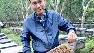 Nuôi ong ở Vườn quốc gia Xuân Thủy
