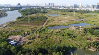 Cần làm rõ liên quan Công ty Cổ phần Quốc Cường Gia Lai với Tất Thành Cang