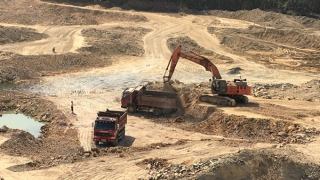 Xử phạt doanh nghiệp lấn chiếm đất rừng sản xuất