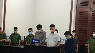 Băng nhóm lừa các cô gái trẻ vào tiệm massage kích dục lãnh án