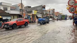 Bình Định đề nghị khắc phục tình trạng sạt lở, ngập lụt trên các tuyến quốc lộ