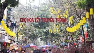 Hà Nội cấm nhiều tuyến phố phục vụ chợ hoa Tết Nhâm Dần