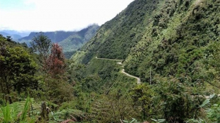 Cuộc săn lùng trong đêm trừ tịch