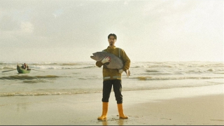 “Biết”, “hiểu” và “ngộ”