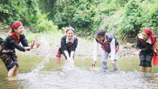 Xuân sớm trên chiến khu Ba Lòng