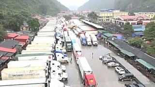 Sẽ có ứng dụng cảnh báo ùn tắc hàng hóa trên Cổng thông tin một cửa quốc gia