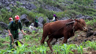 Dành tối thiểu 75 nghìn tỷ đồng làm nguồn vốn giảm nghèo