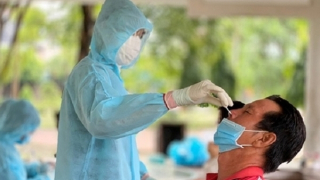 Tây Ninh giảm kỷ lục từ 900 ca xuống gần 300 ca nhiễm COVID-19