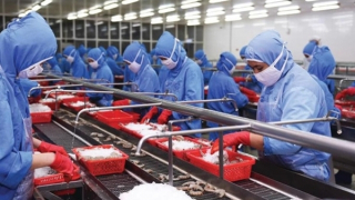 Dịch vụ logicstis đang cản đường xuất khẩu