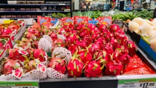 Thanh long Việt Nam liên tục cập bến Australia