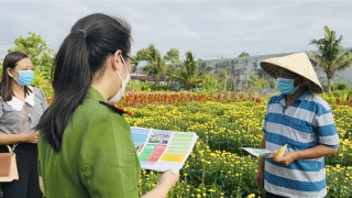 Xã nông thôn mới vào Xuân