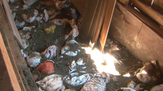 Bí mật trong căn hầm kiên cố nơi biên giới