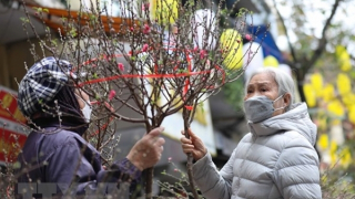 Lãnh đạo Lào gửi điện chúc Tết lãnh đạo Đảng, Nhà nước Việt Nam