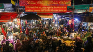 Người dân Thủ đô chen chân đi mua hoa trong mưa rét