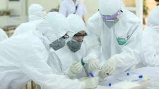 Mùng 2 Tết, ca nhiễm COVID-19 tiếp tục giảm mạnh