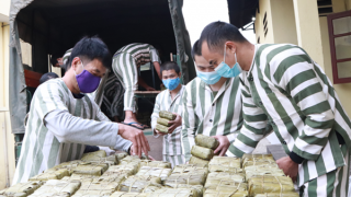 Tìm lại đường xuân