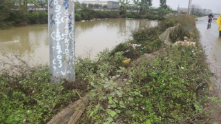 Đôi nam nữ thương vong, nghi tự tông xe vào cột điện