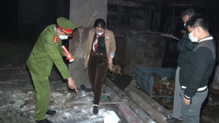 Ngày xuân nghe trinh sát kể chuyện đấu trí với tội phạm môi trường