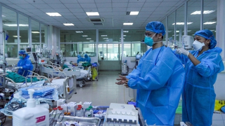 Những người không có Tết