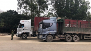 Lạng Sơn tạm dừng tiếp nhận xe chở hoa quả tươi xuất khẩu từ ngày 16/2