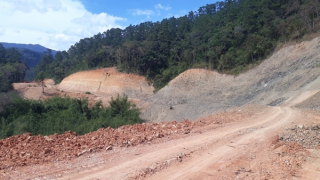 Đình chỉ thi công vụ san ủi rừng đặc dụng để làm đường