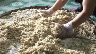 Giỗ tổ làng nghề truyền thống rượu Bàu Đá