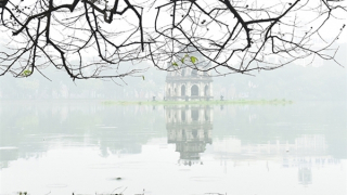 Miền Bắc trời vẫn rét, sáng có mưa phùn và sương mù