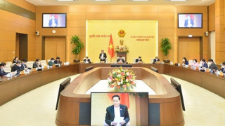 Lãnh đạo Quốc hội sẽ sử dụng chuyên gia có trình độ để tham vấn