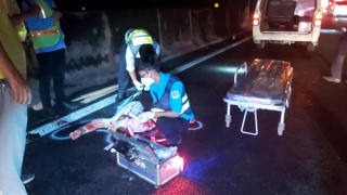 Người đàn ông đi bộ tử vong sau va chạm với xe khách trên cao tốc