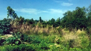 Cần xử lý dứt điểm bản án 15 năm chưa thi hành xong?