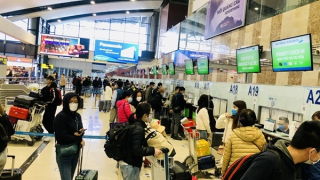 Hàng không Việt mở lại đường bay quốc tế: Nhiều tín hiệu khởi sắc