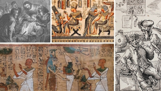 Hàm răng con người: Nơi văn hóa tranh đua cùng tiến hóa